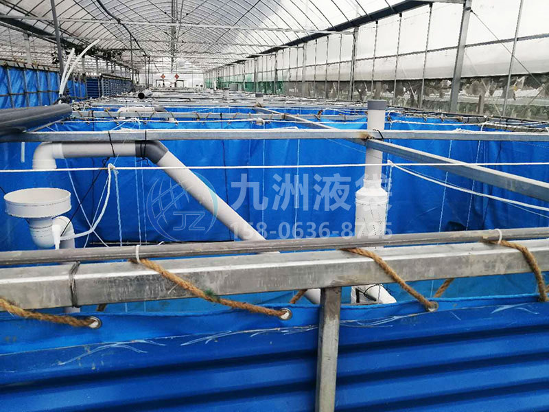 养殖鱼池