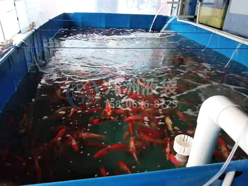 养殖鱼池