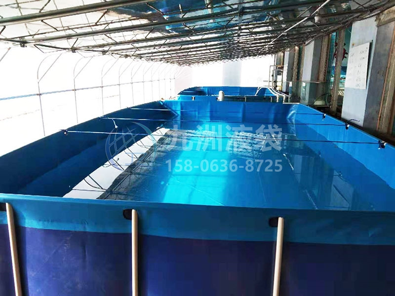 养殖鱼池