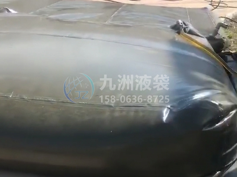 储油囊